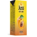 Juss Cooler Kayısı Meyve Suyu 200 ML x 27