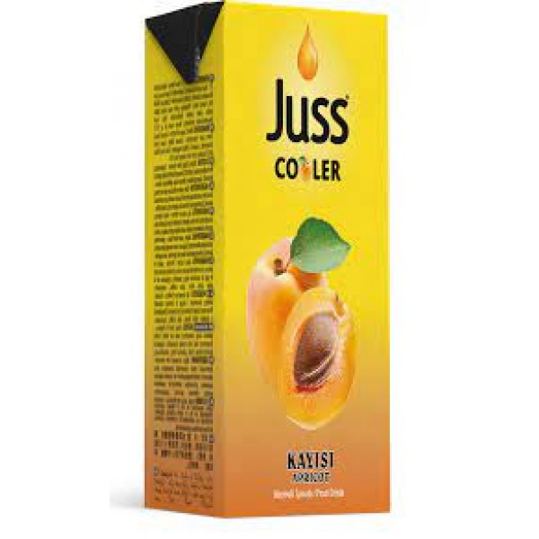 Juss Kayısı Nektarı Slim 200 ML x 27