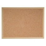 Dupano Mantar Pano Ahşap Çerçeveli İridiş 60x90