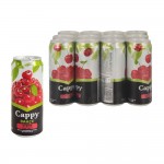 Cappy Meyve Suyu Vişne Aromalı 250 ml X 12 Adet