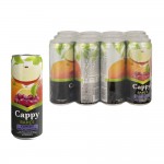 Cappy Meyve Suyu Karışık Meyve Aromalı 250 ml X 12 Adet